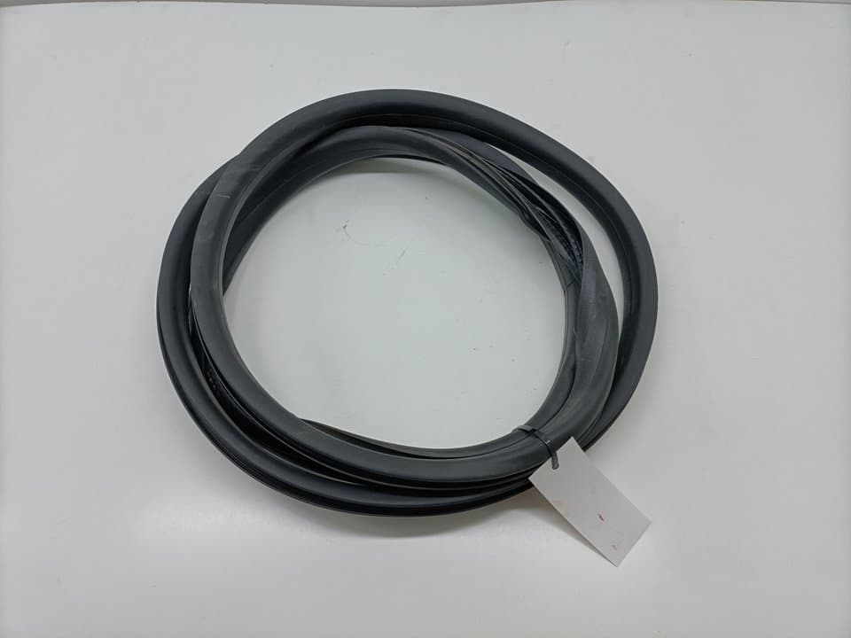 Gomas contorno puerta RENAULT FLUENCE 2