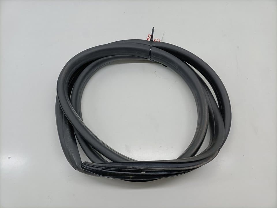 Gomas contorno puerta RENAULT FLUENCE 2