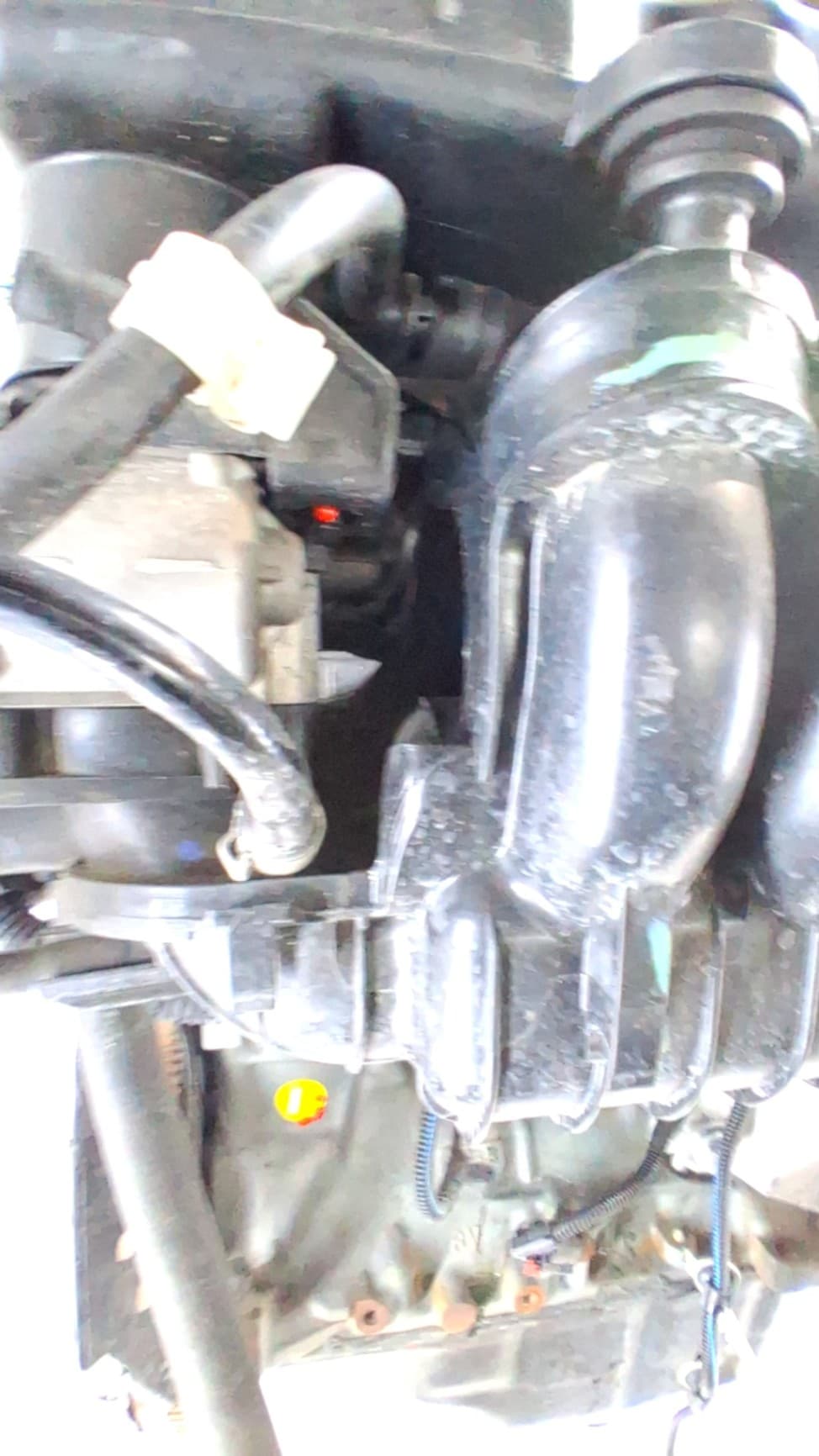 Motor completo FIAT PANDA (319) 4