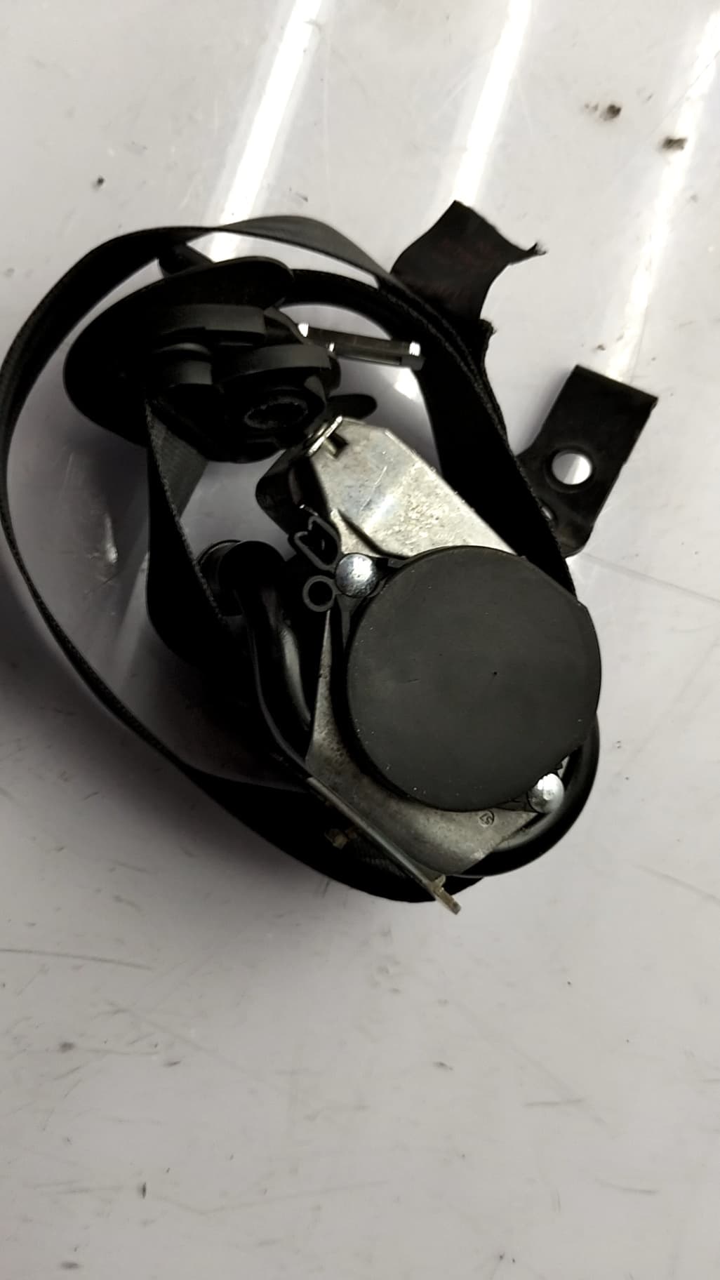 Cinturon seguridad delantero derecho SEAT LEON (1P1) 4