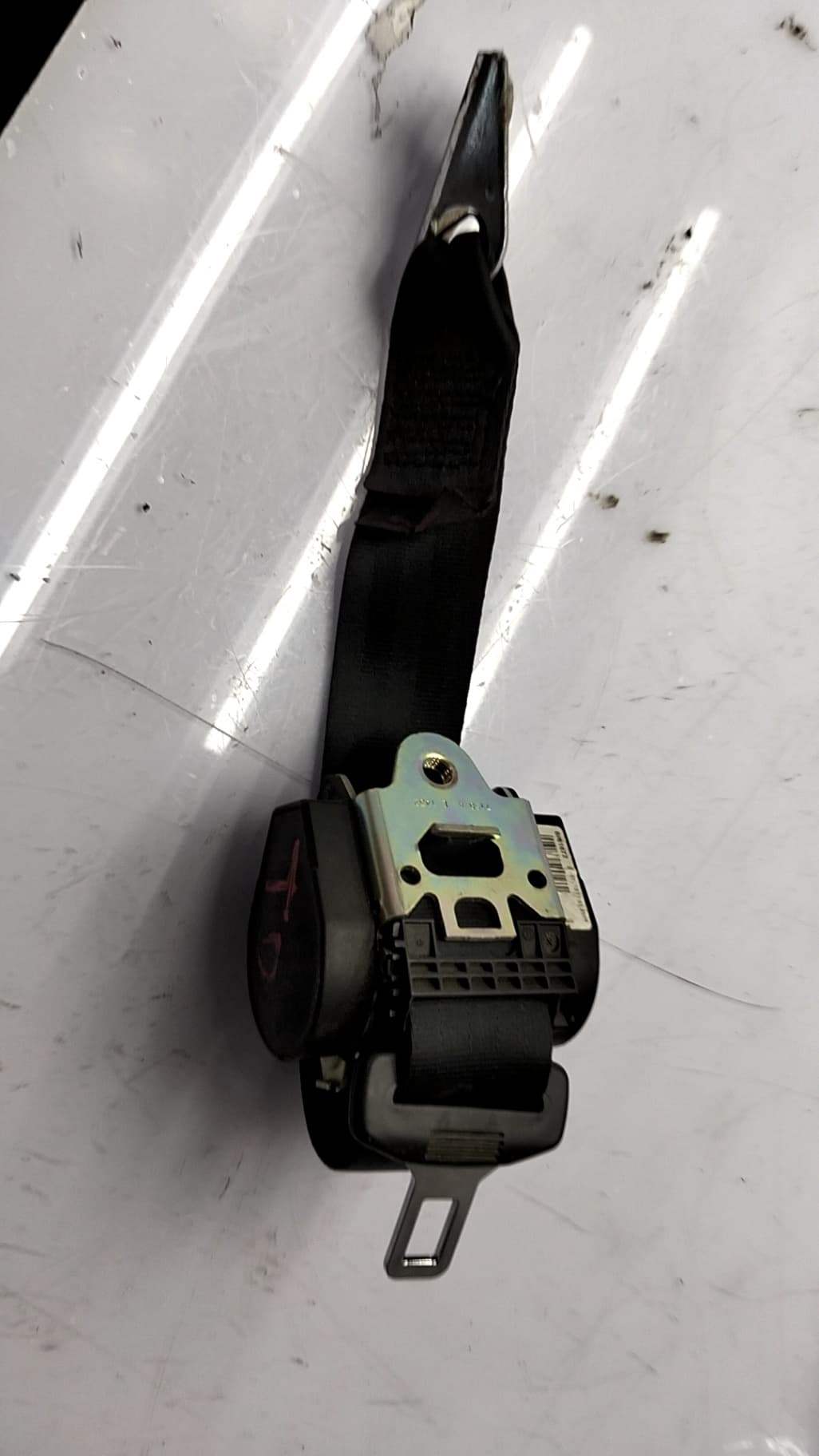 Cinturon seguridad trasero derecho SEAT LEON (1P1) 5