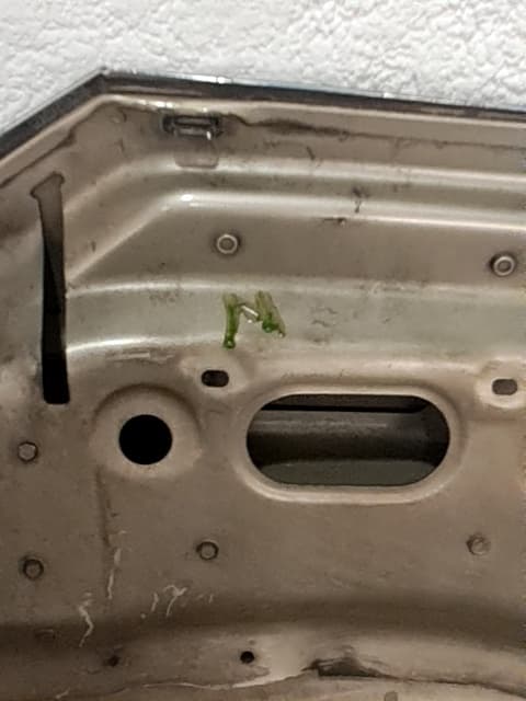 Capot CITROEN C4 BERLINA 2