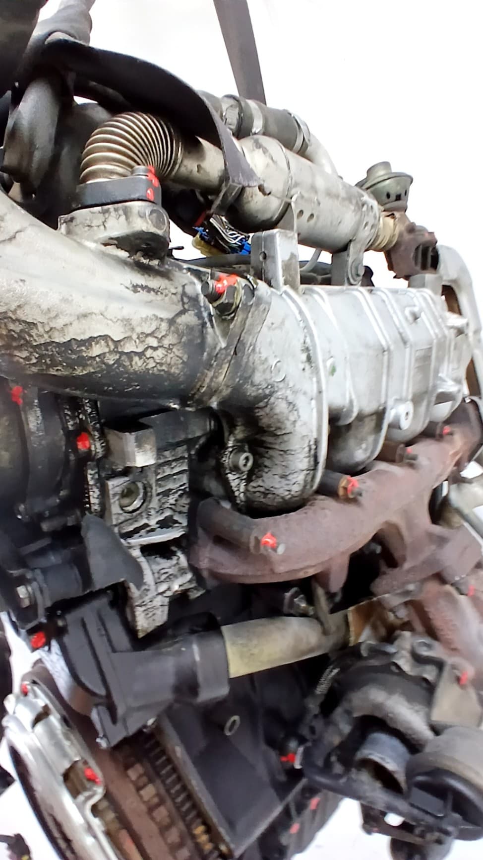 Motor completo CITROEN JUMPER I FURGONETA (244) 4