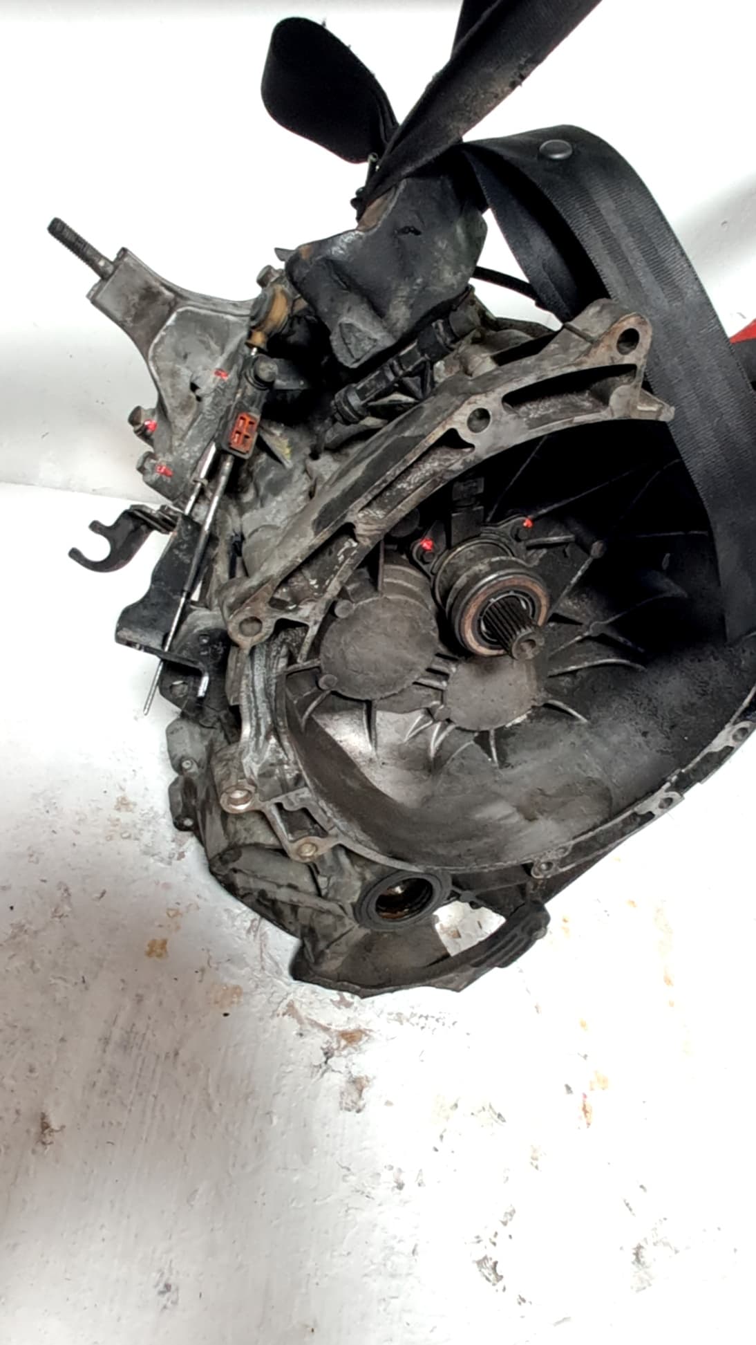 Caja cambios FORD MONDEO III (B5Y) 2