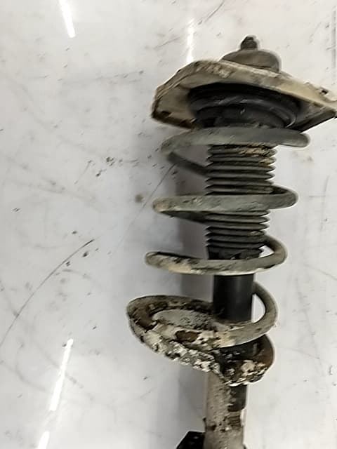 Amortiguador delantero derecho PEUGEOT EXPERT KASTEN 4