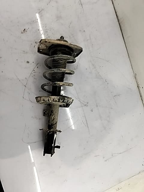 Amortiguador delantero derecho PEUGEOT EXPERT KASTEN 3