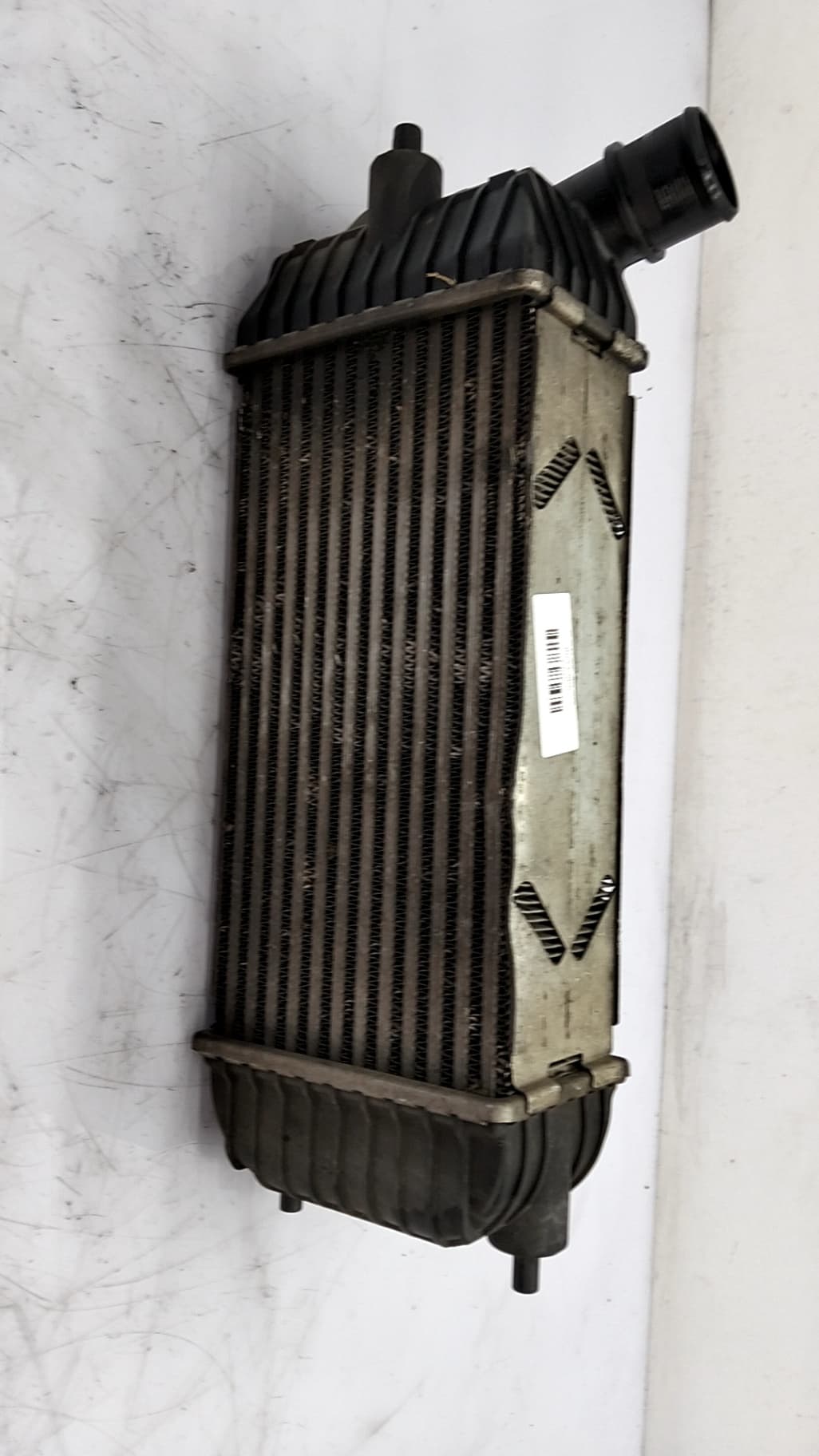 Radiador aceite PEUGEOT EXPERT KASTEN