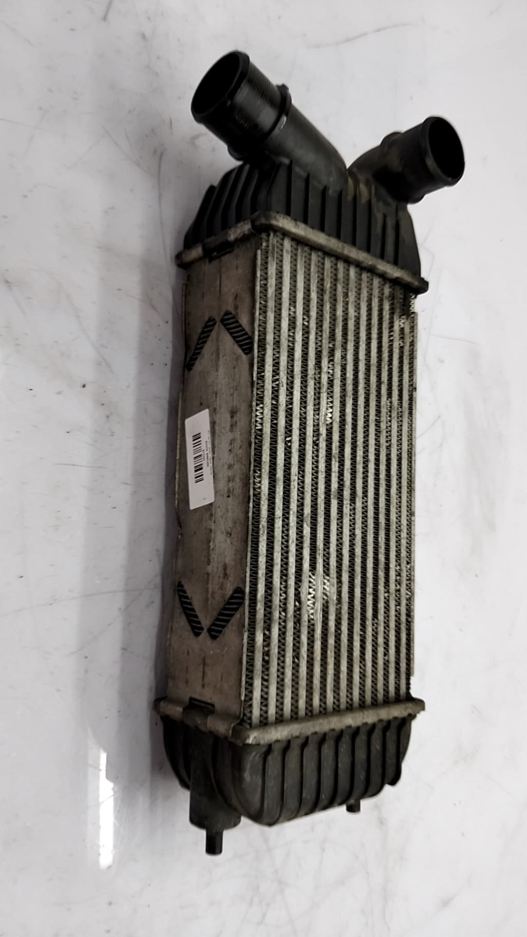 Radiador aceite PEUGEOT EXPERT KASTEN 5