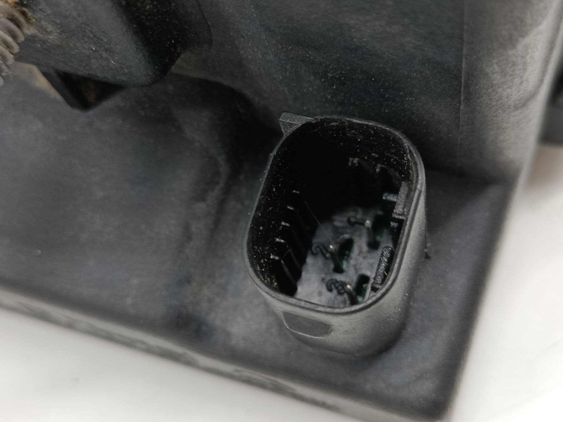 Claxon BMW SERIE 5 BERLINA (E60) 4
