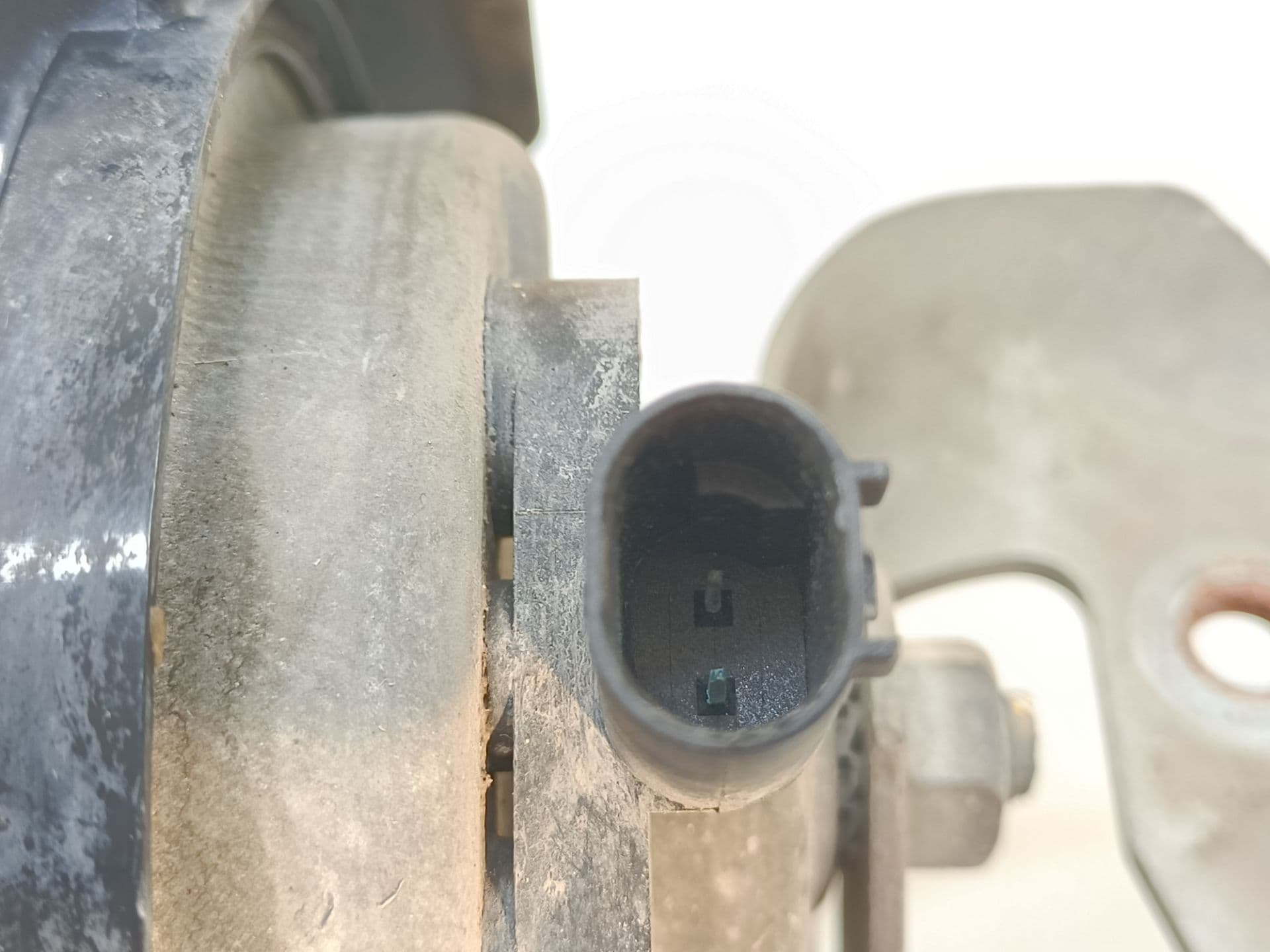 Claxon BMW SERIE 5 BERLINA (E60) 5