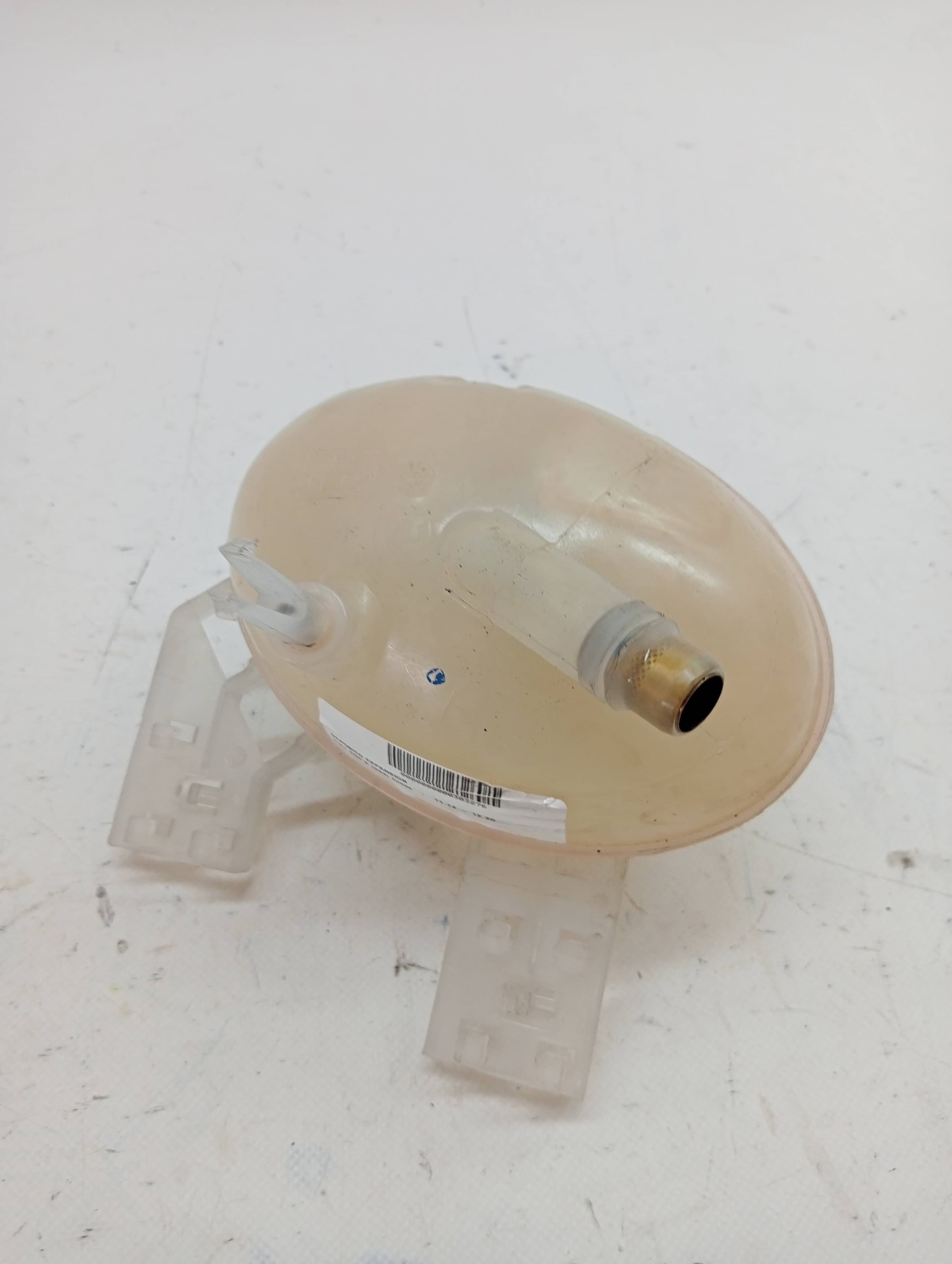 Deposito expansion FIAT 500 X (334) 2
