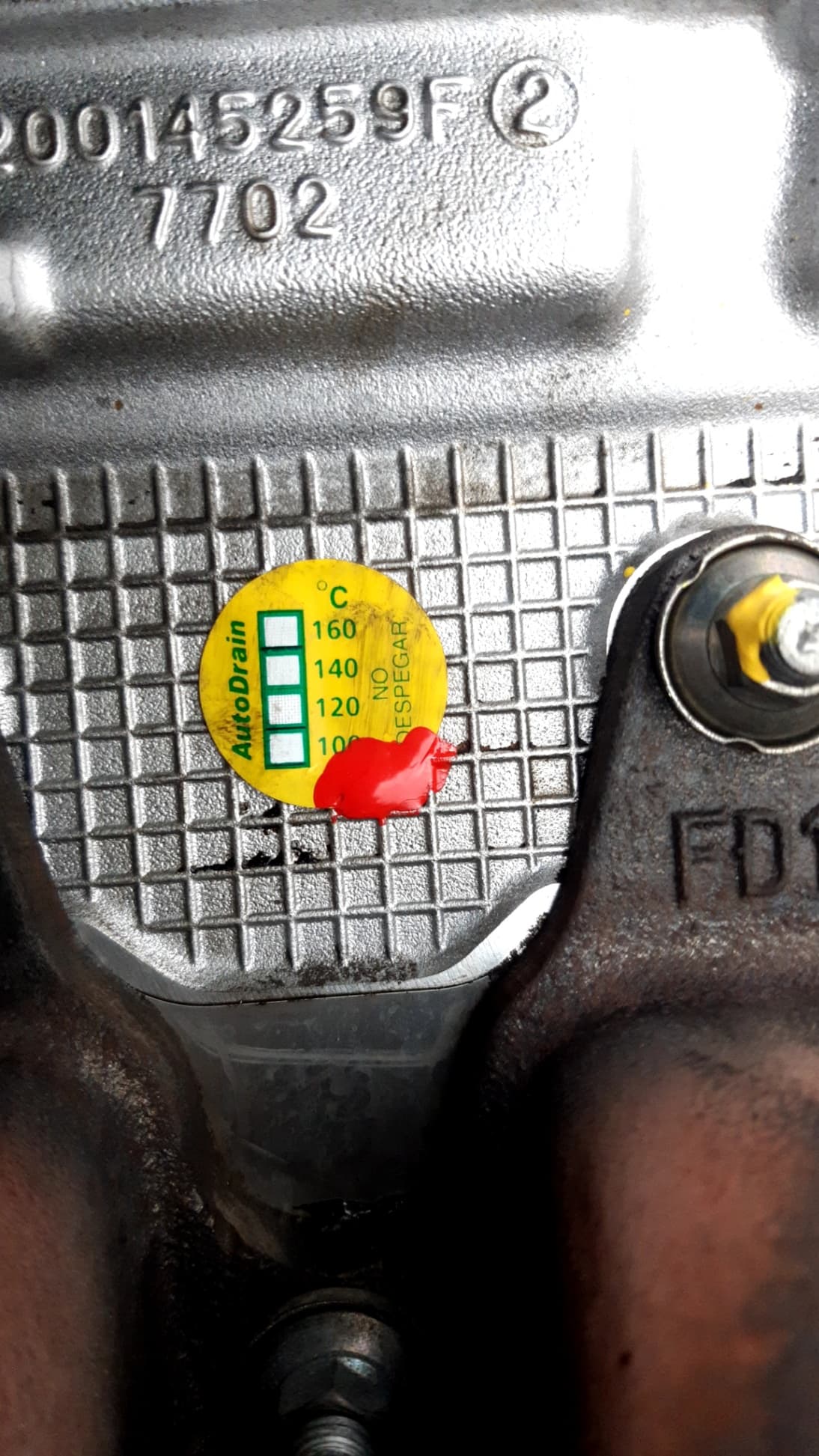 Motor completo RENAULT MEGANE II FAMILIAR 2