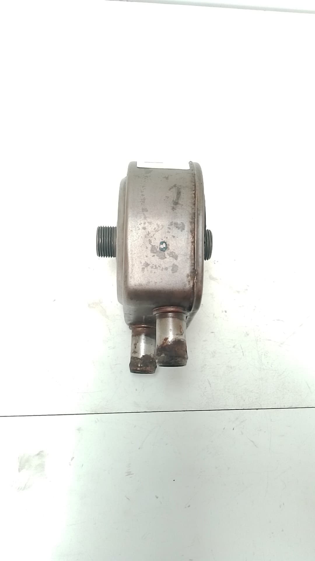 Radiador aceite RENAULT SCENIC (JA..) 3