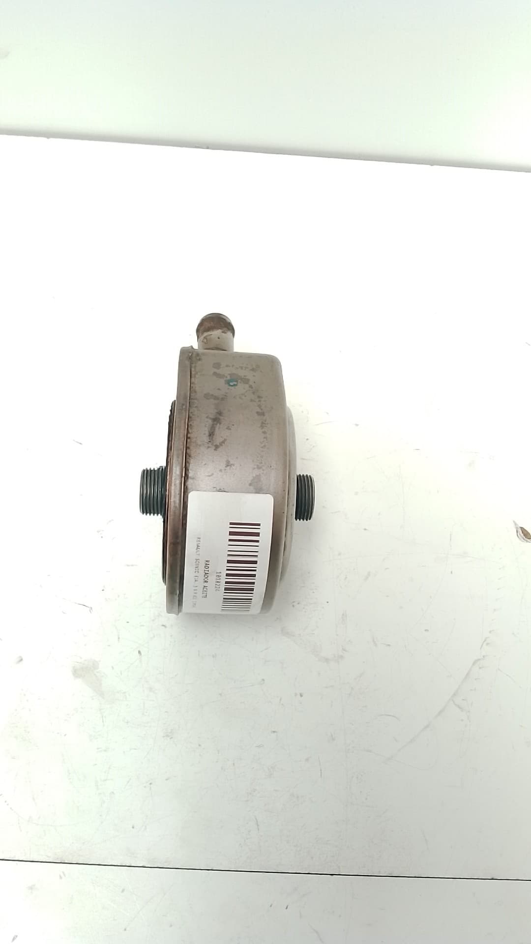 Radiador aceite RENAULT SCENIC (JA..) 2