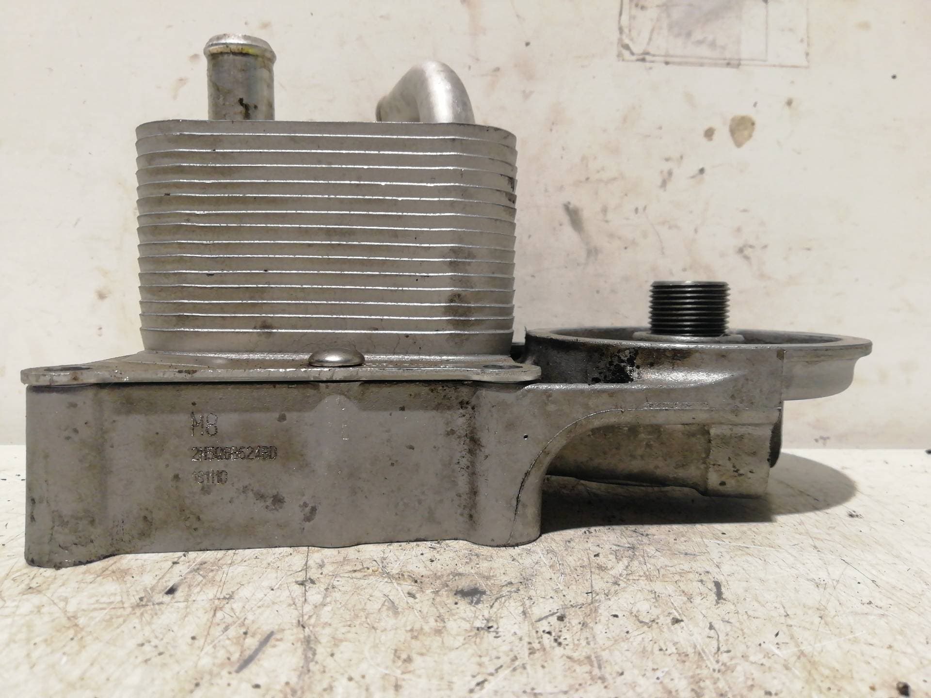 Radiador aceite FORD FOCUS BERLINA (CAK)