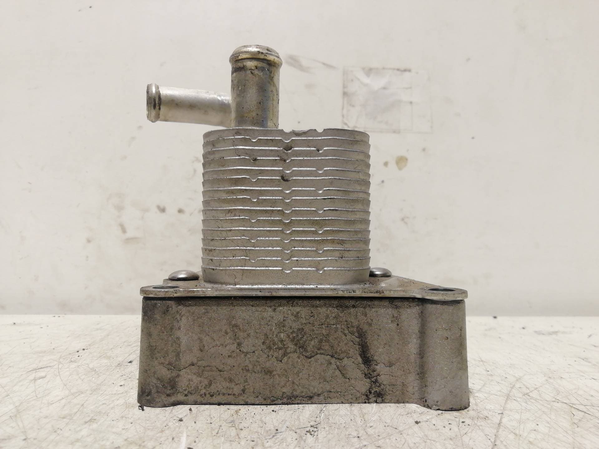 Radiador aceite FORD FOCUS BERLINA (CAK) 5