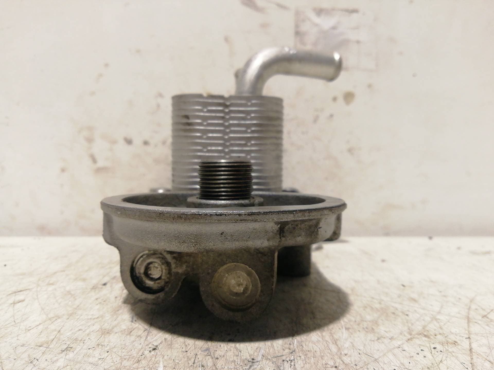 Radiador aceite FORD FOCUS BERLINA (CAK) 4