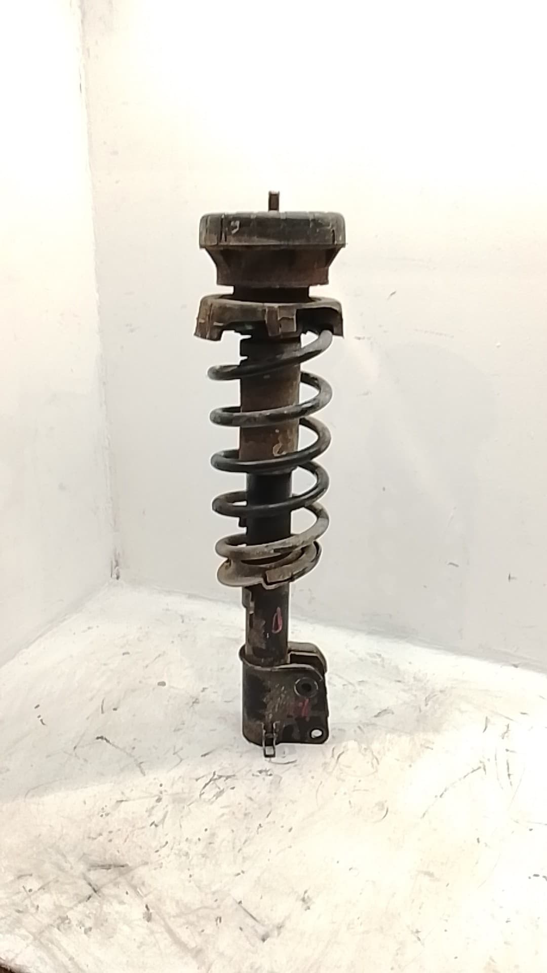 Amortiguador delantero derecho NISSAN PRIMASTAR FURGONETA (X83)