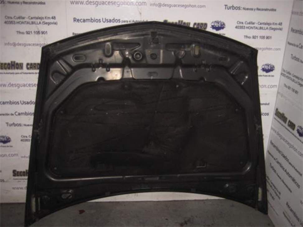 Capot RENAULT VEL SATIS (BJ0) 2