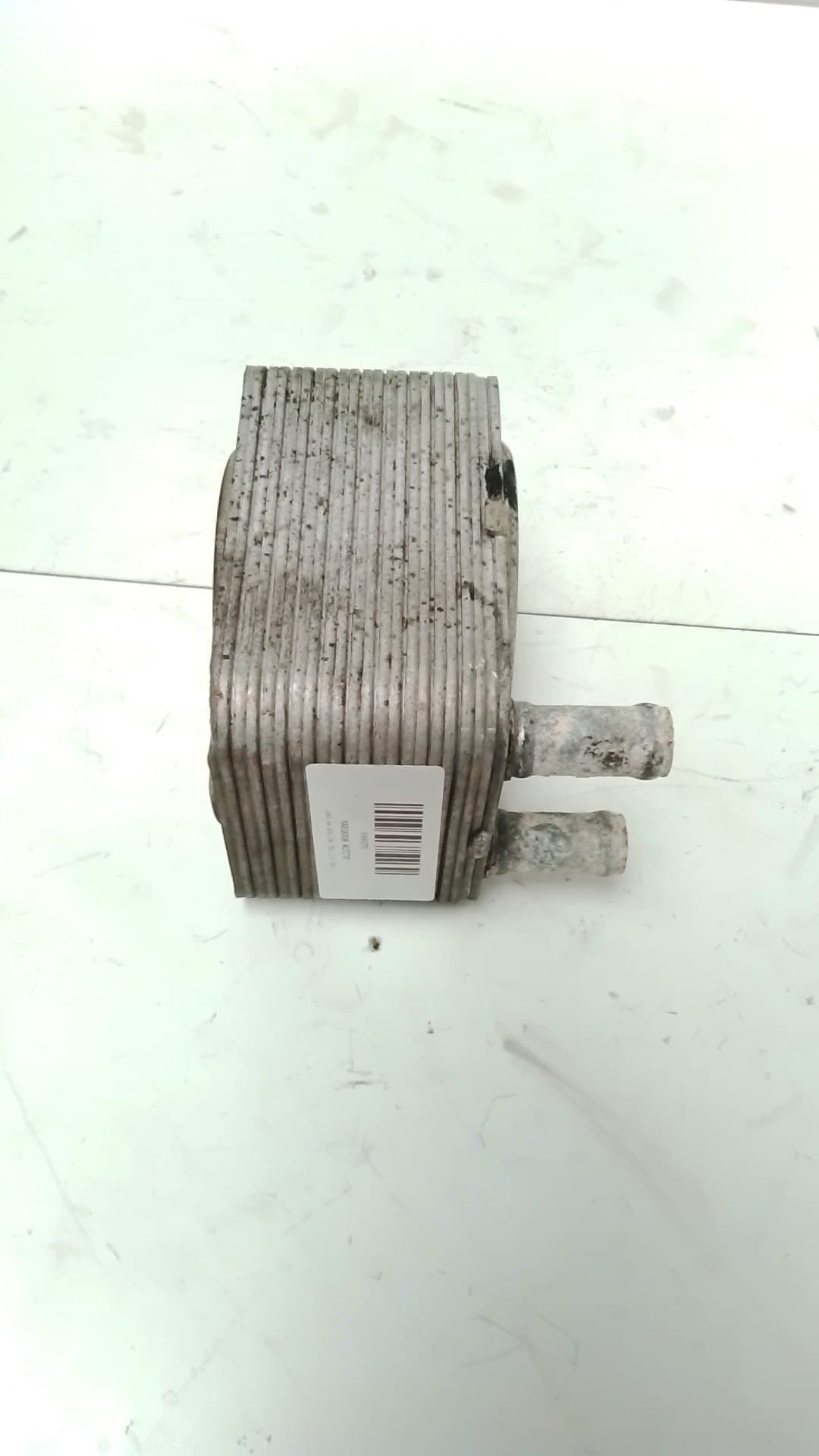 Radiador aceite AUDI A4 BERLINA (8E) 4