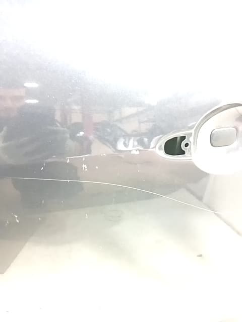 Puerta delantera izquierda RENAULT SCENIC III 3