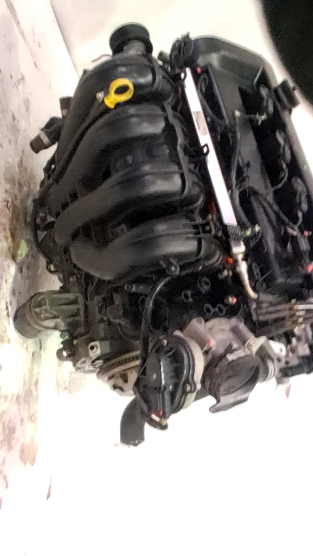 Motor completo FORD FOCUS BERLINA (CAP) 4