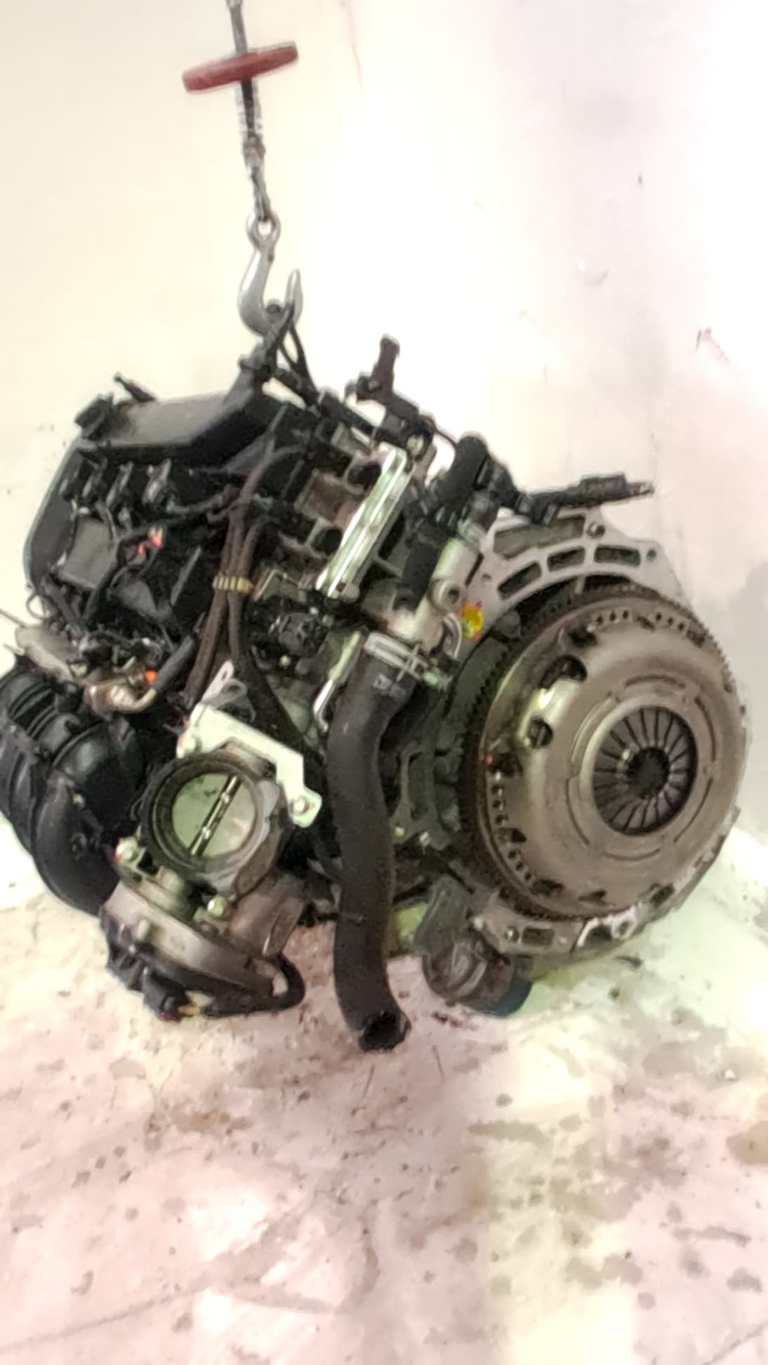 Motor completo FORD FOCUS BERLINA (CAP) 3