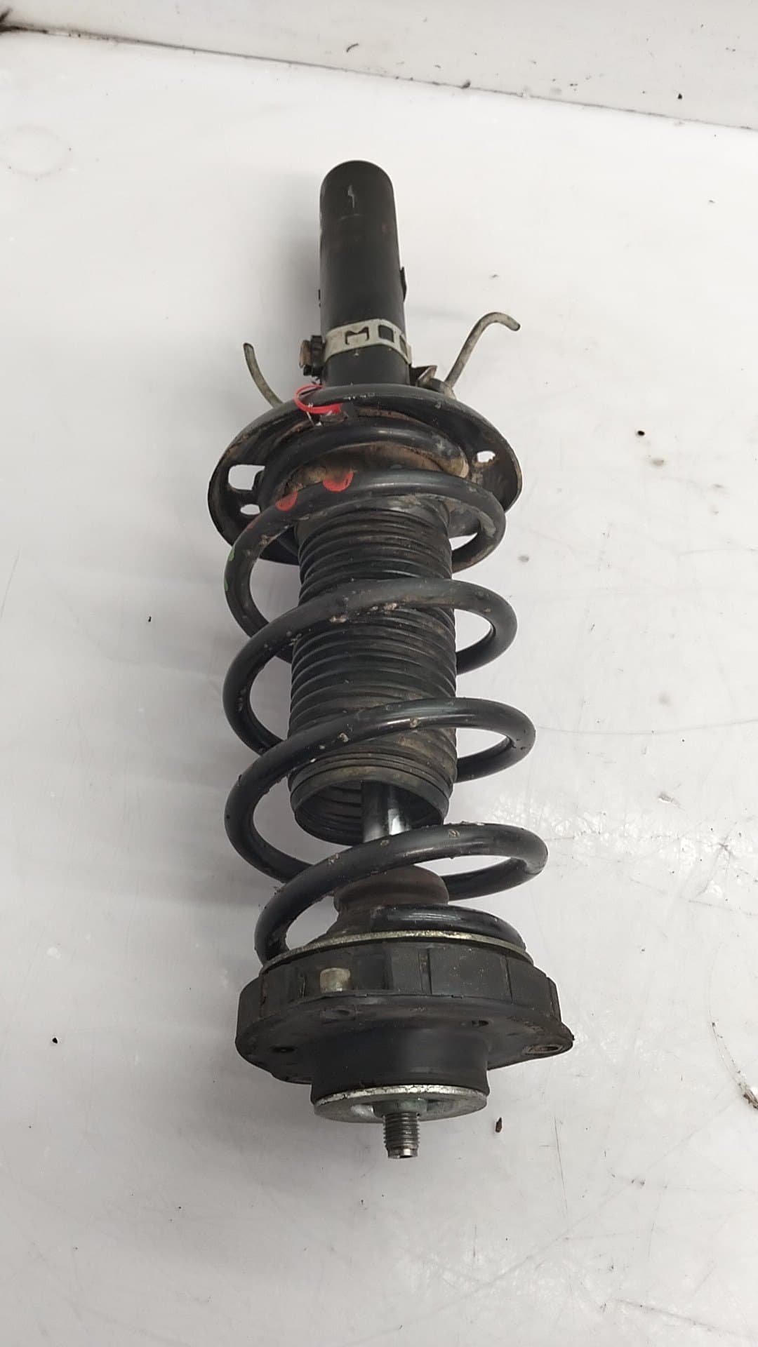 Amortiguador delantero derecho SEAT IBIZA (6L1) 3
