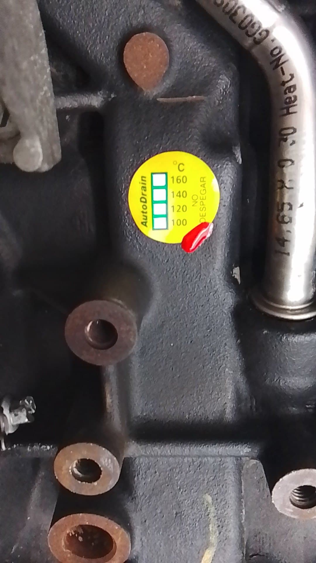 Motor completo RENAULT TRAFIC 5