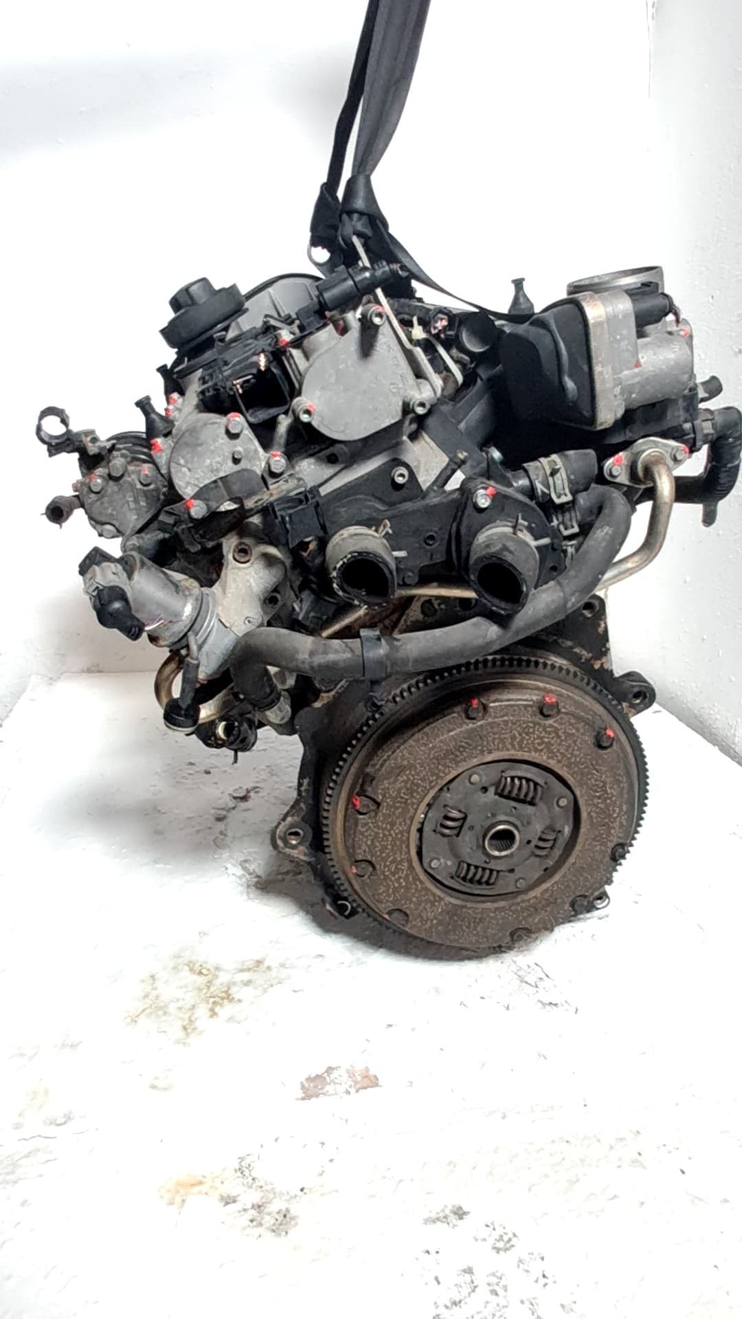 Motor completo SEAT LEON (1M1) 4