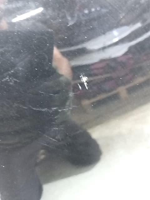 Puerta trasera izquierda AUDI A3 (8P) 5