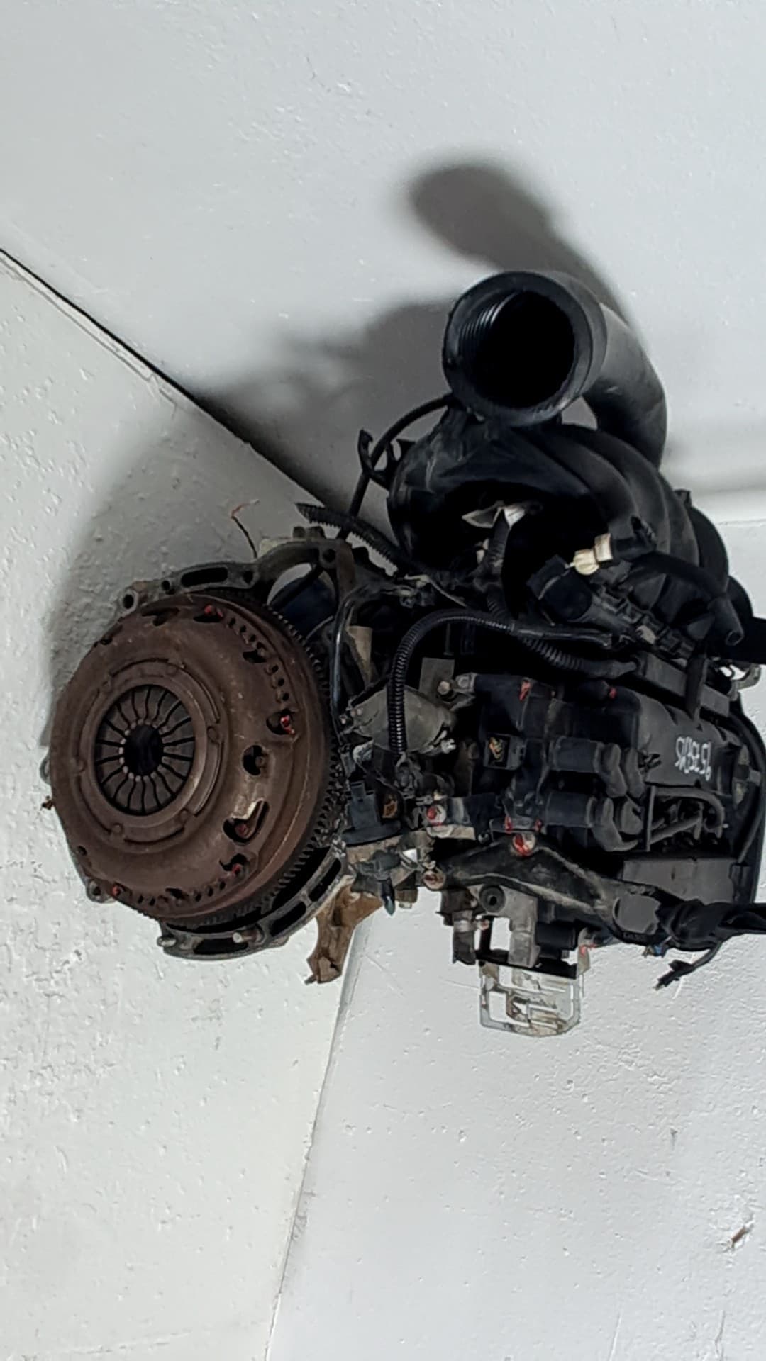 Motor completo FORD FOCUS BERLINA (CAP) 4