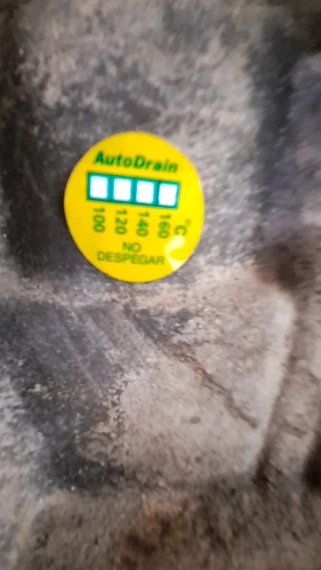 Motor completo FORD FOCUS BERLINA (CAP) 2