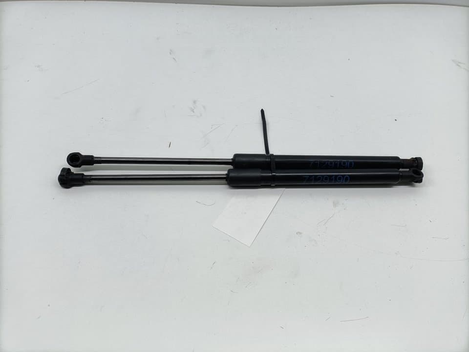 Amortiguadores capo BMW SERIE 3 BERLINA (E90)