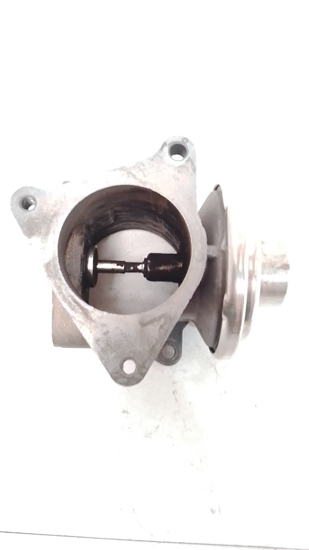 Valvula egr AUDI A3 (8L) 3