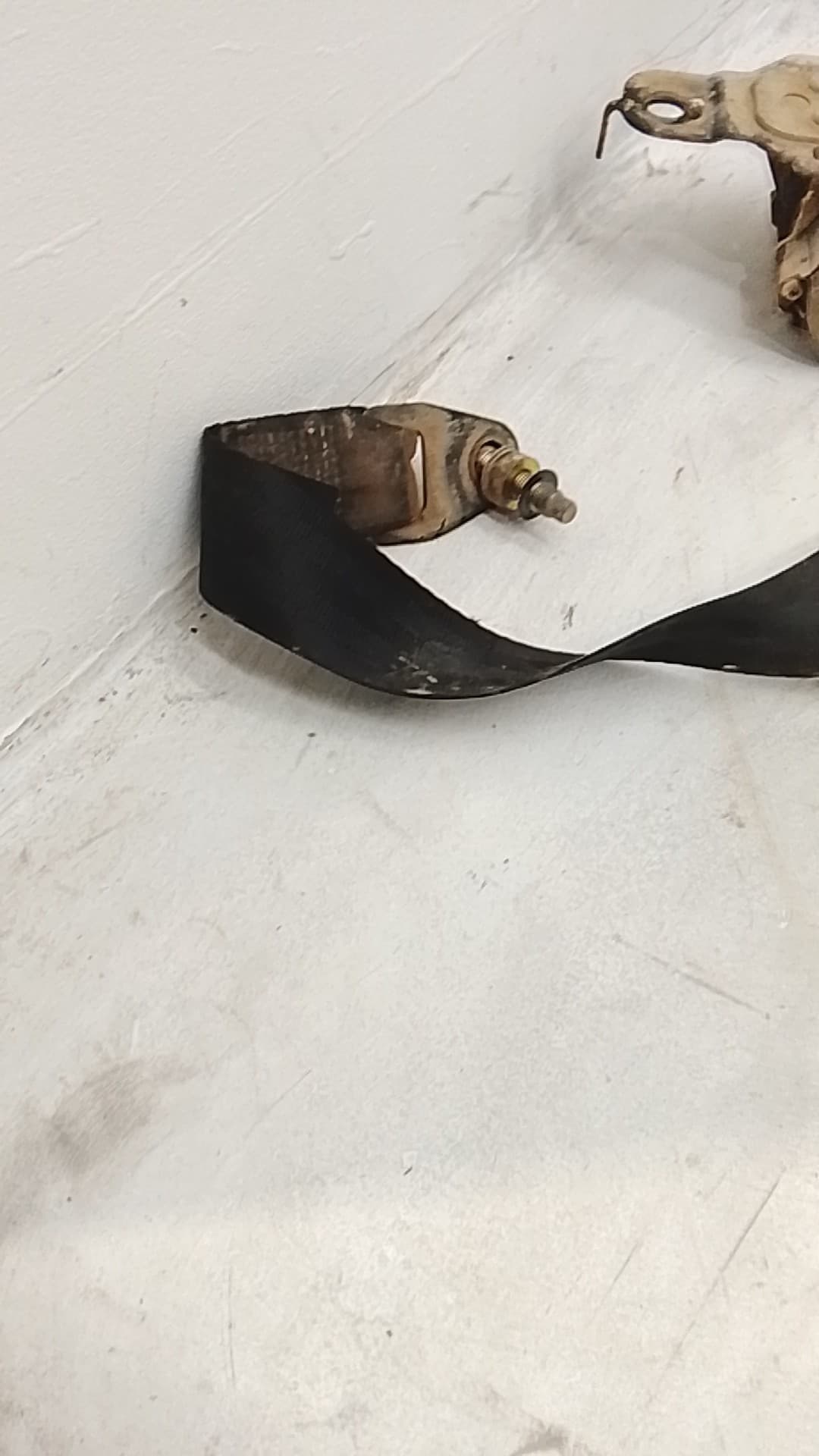 Cinturon seguridad delantero derecho NISSAN TERRANO (WD21) 2
