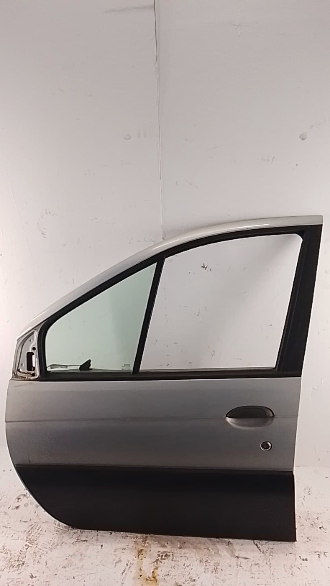 Puerta delantera izquierda RENAULT SCENIC (JA..)
