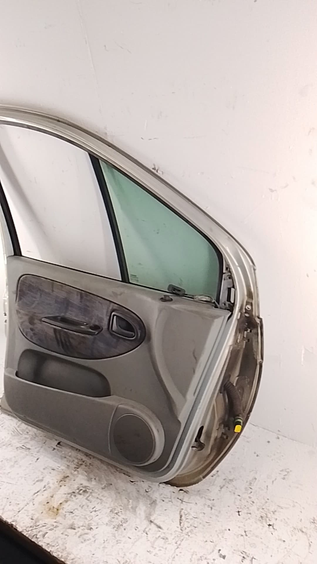 Puerta delantera izquierda RENAULT SCENIC (JA..) 3