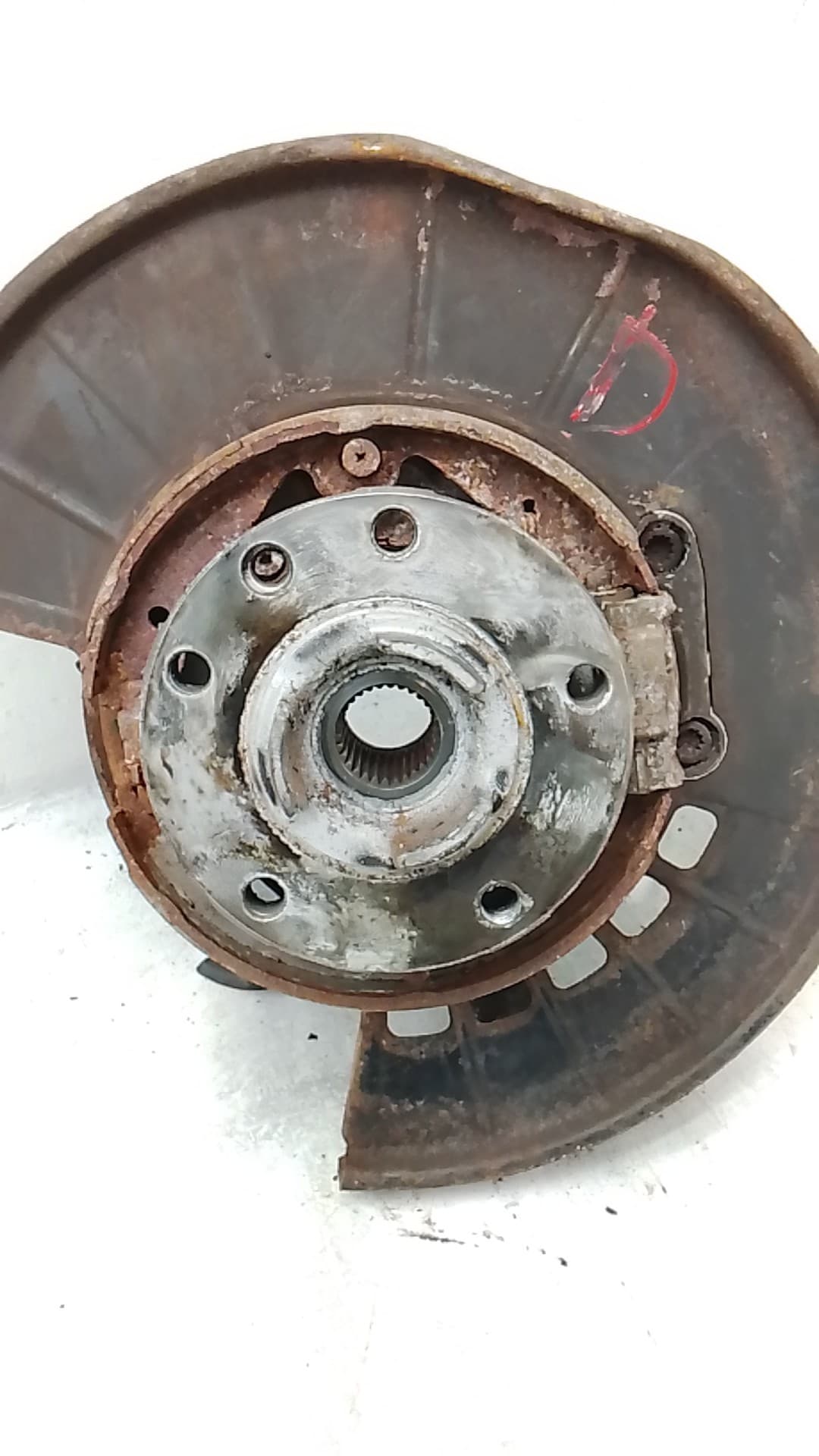 Mangueta trasera derecha PORSCHE CAYENNE (9PA) 5