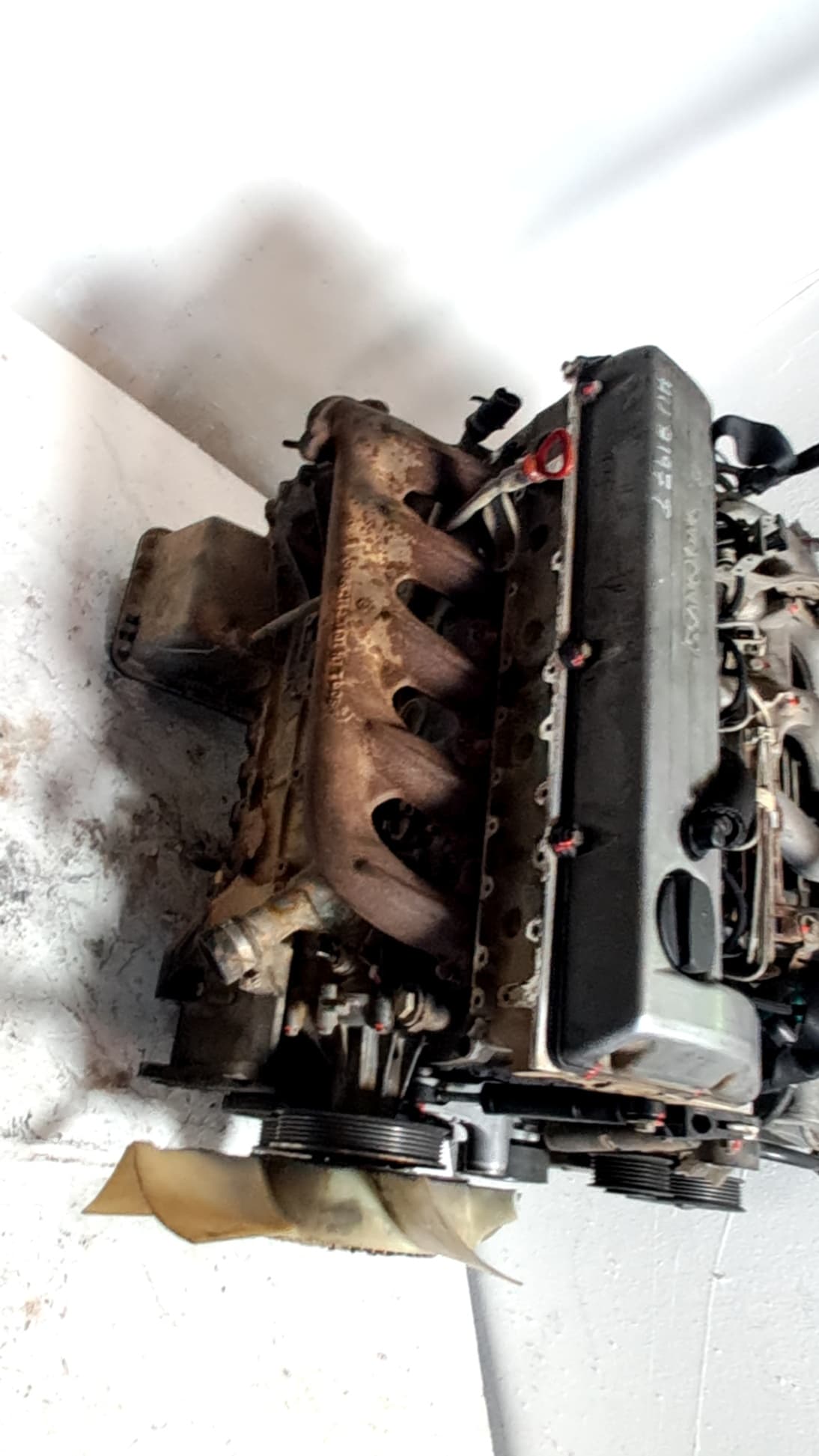 Motor completo SSANGYONG KORANDO CABRIO (KJ) 3