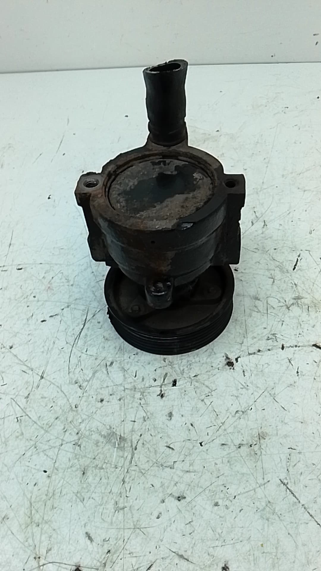 Bomba direccion RENAULT KANGOO 4