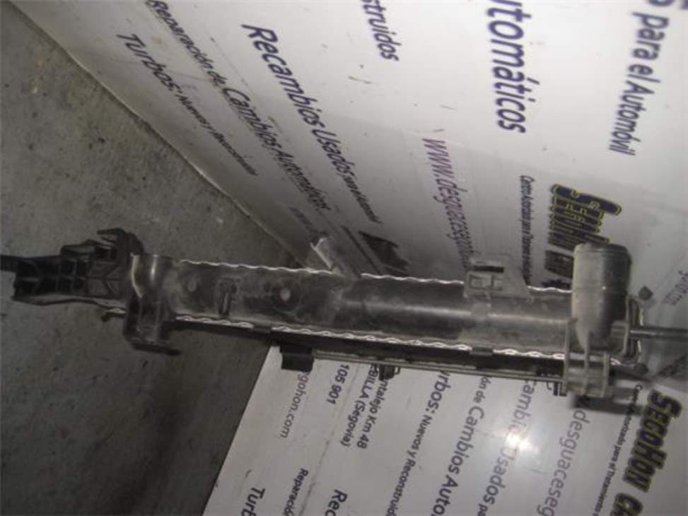 Radiador agua RENAULT 21 BERLINA (B/L48) 2