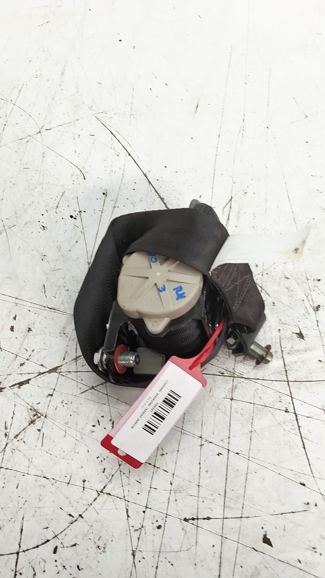 Cinturon seguridad trasero derecho EVO 3 3
