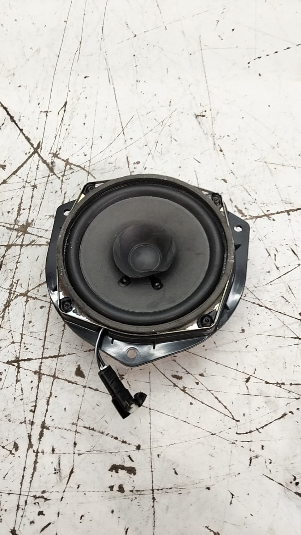 Altavoz EVO 3