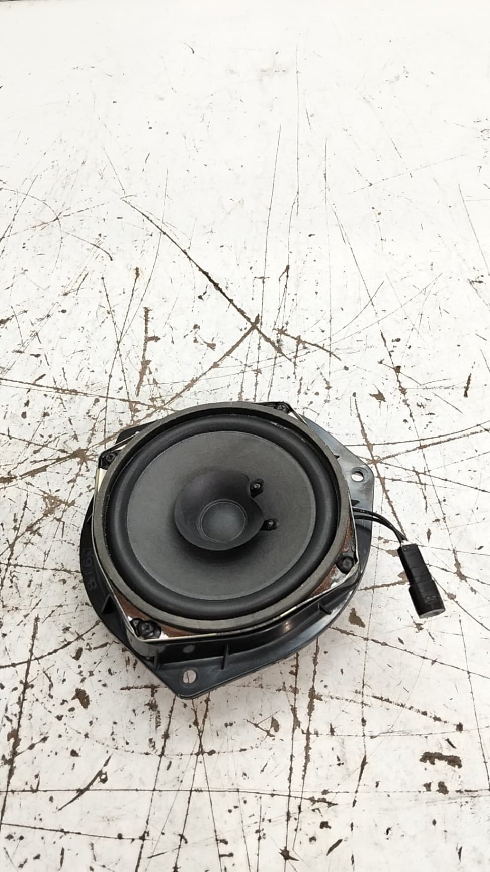 Altavoz EVO 3 3