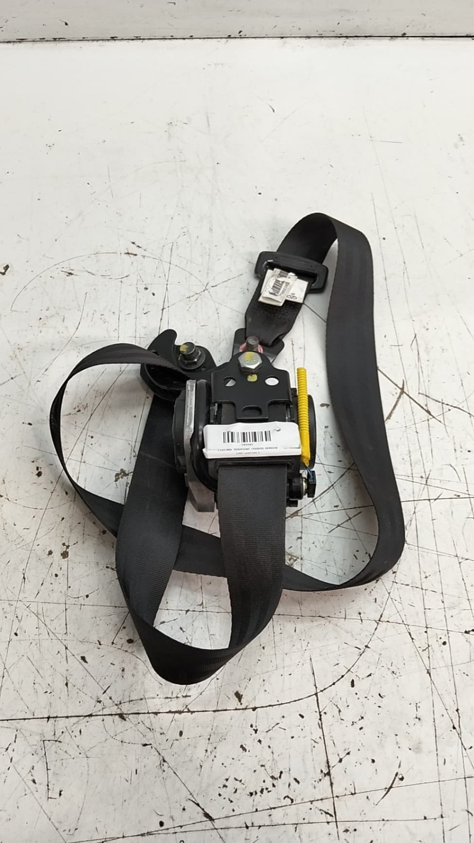 Cinturon seguridad trasero derecho DR 6.0