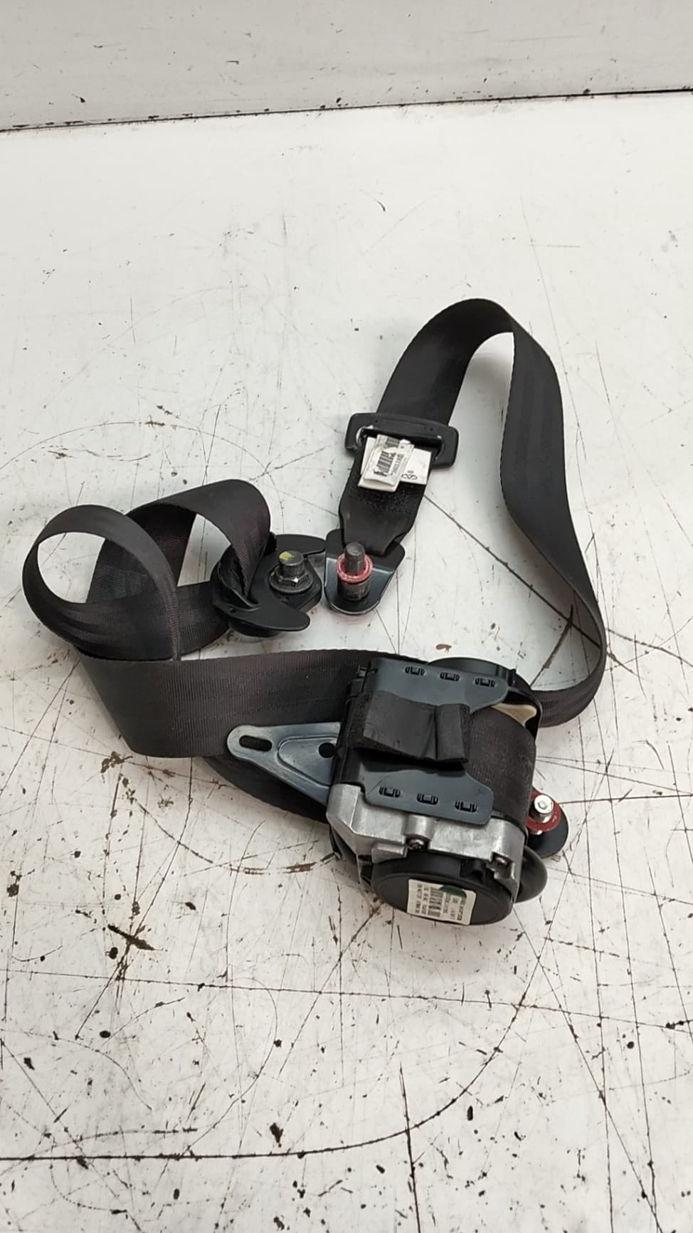 Cinturon seguridad trasero derecho DR 6.0 2