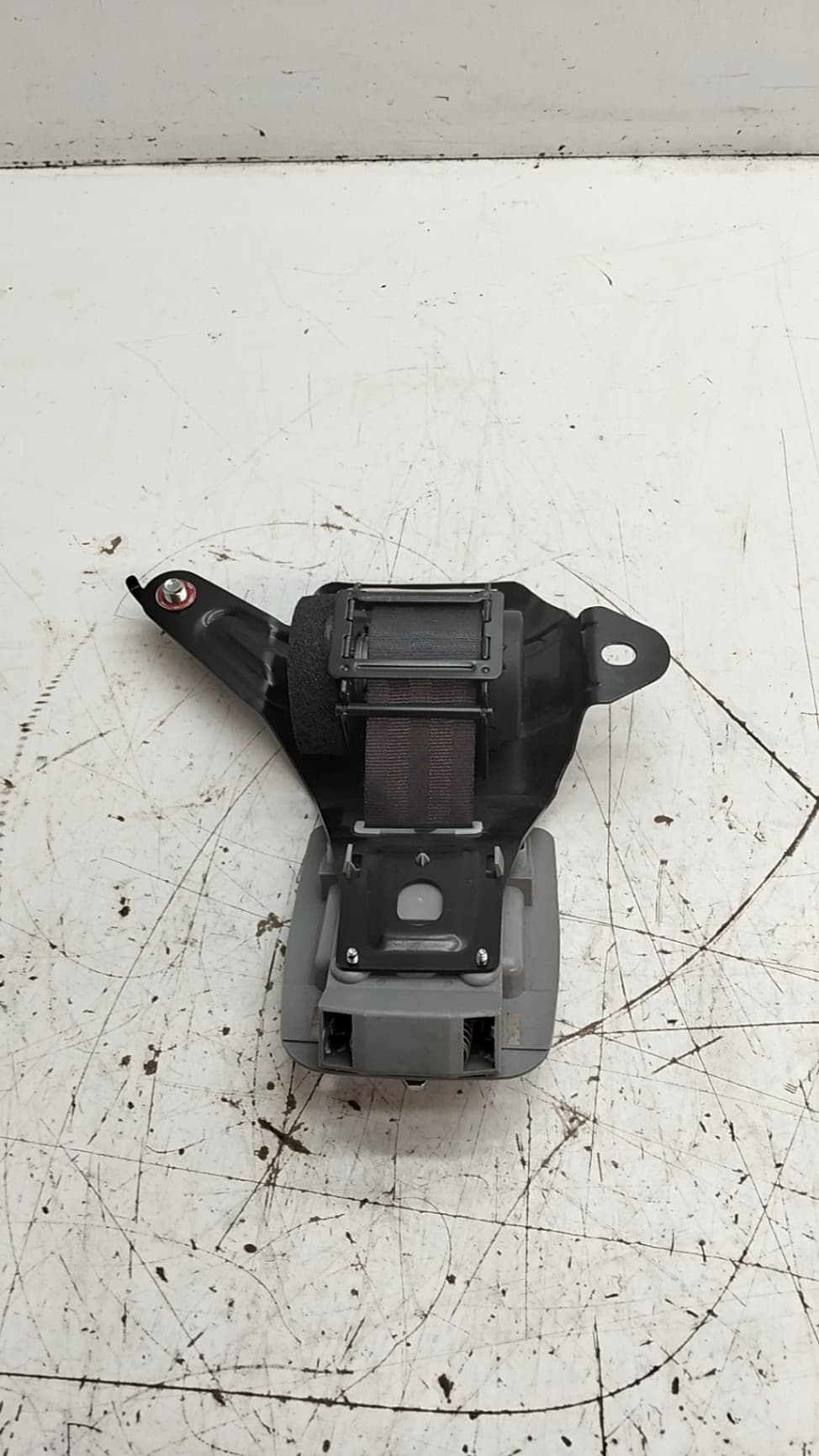 Cinturon seguridad trasero central DR 6.0 3