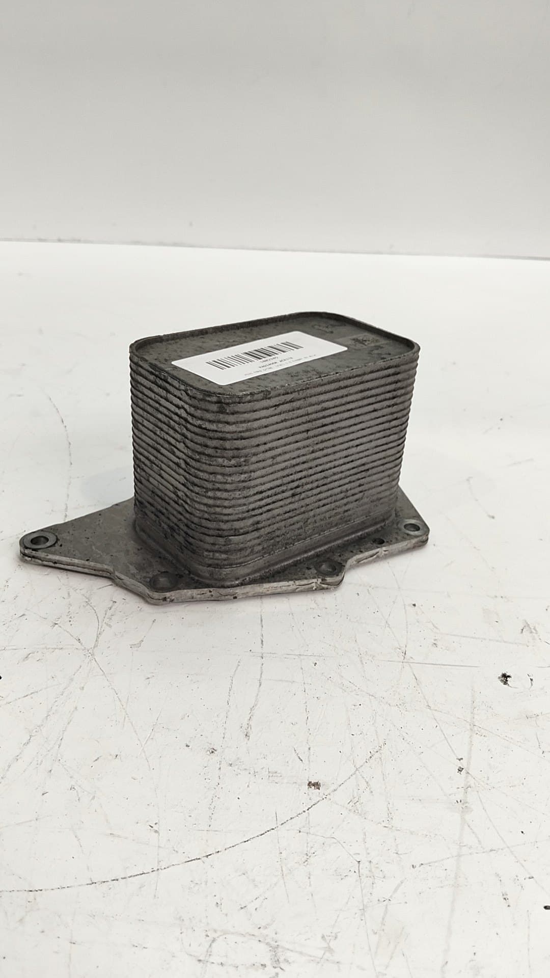 Radiador aceite MINI 5-TRG
