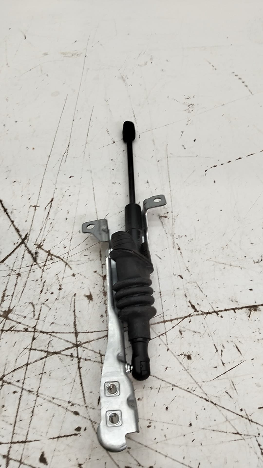 Amortiguadores capo MINI 5-TRG 2